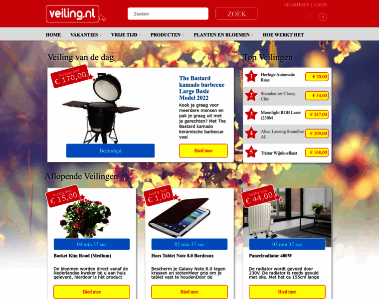 Veiling.nl thumbnail