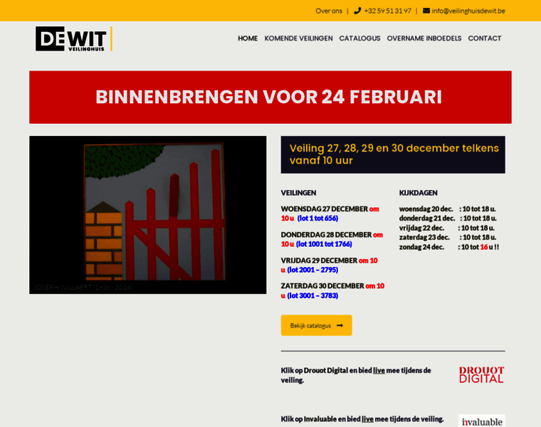 Veilinghuisdewit.be thumbnail