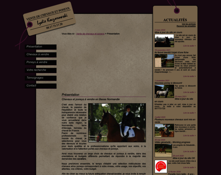 Vente-chevaux-poneys.fr thumbnail