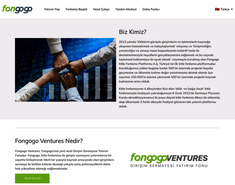 Venture.fongogo.com thumbnail