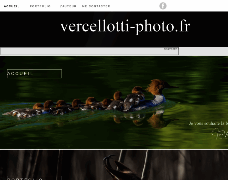 Vercellotti-photo.fr thumbnail