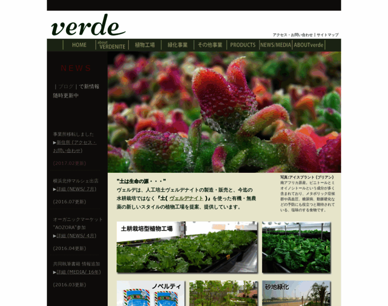 Verde-jp.com thumbnail