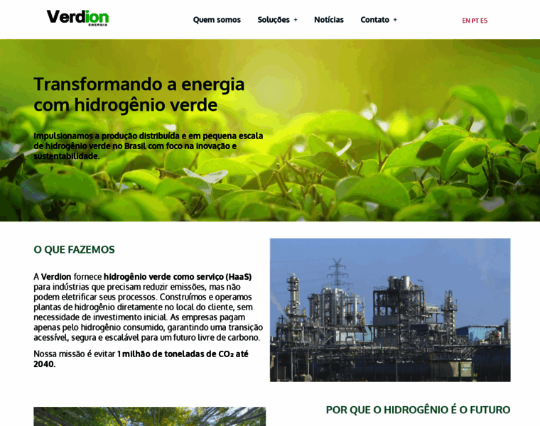 Verdion.com.br thumbnail