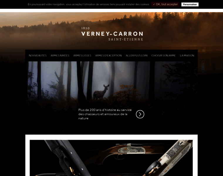 Verney-carron.com thumbnail