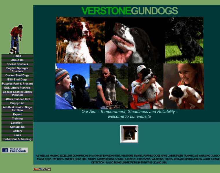 Verstone-gundogs.co.uk thumbnail