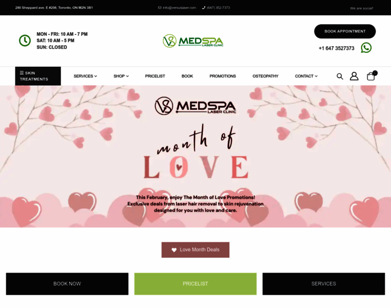 Versuslaser.com thumbnail