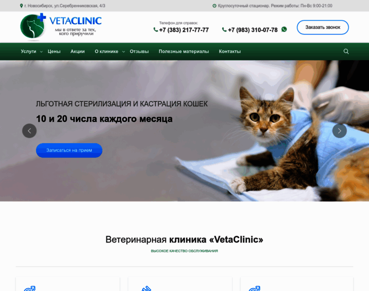 Vetaclinic.ru thumbnail