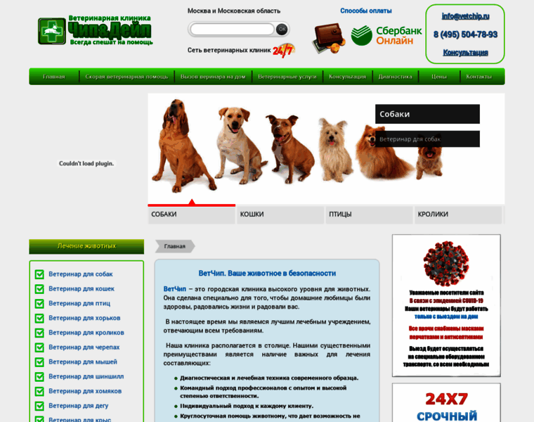 Vetchip.ru thumbnail