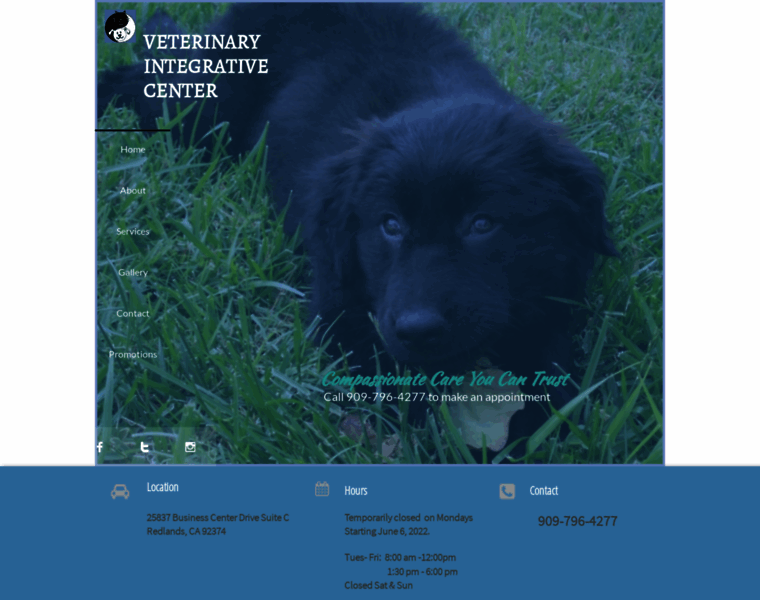 Veterinaryintegrativecenter.com thumbnail