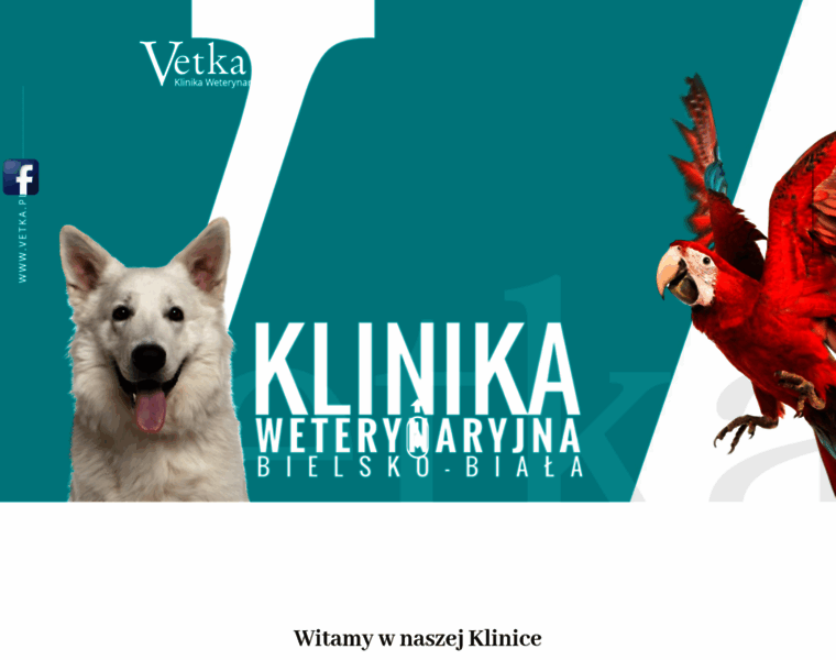 Vetka.pl thumbnail