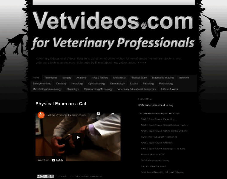 Vetvideos.com thumbnail