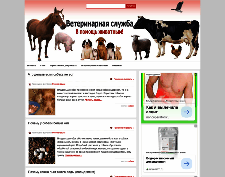 Vetvo.ru thumbnail