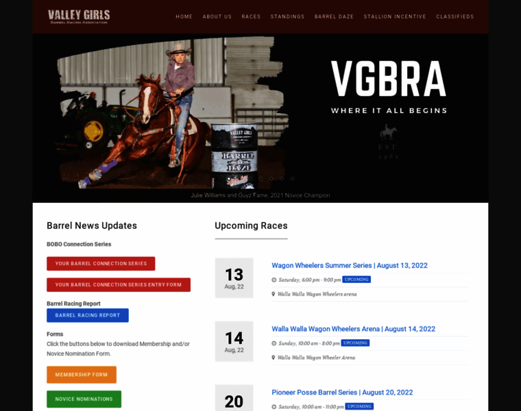 Vgbra.org thumbnail