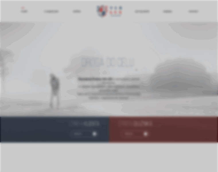 Vialex.pl thumbnail