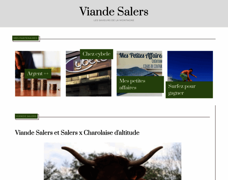 Viande-salers.fr thumbnail