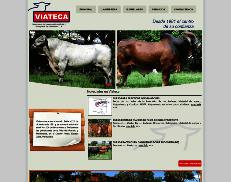 Viateca.com thumbnail