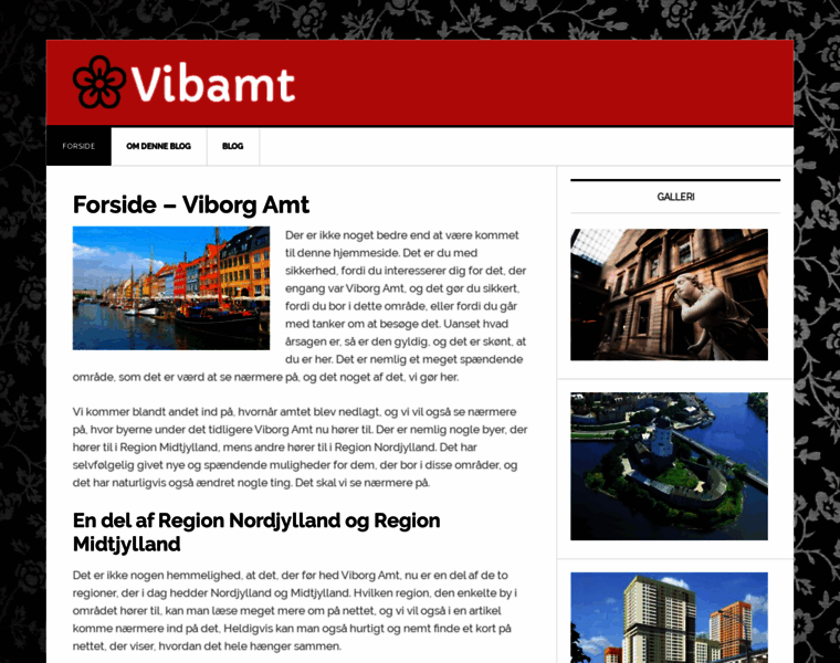 Vibamt.dk thumbnail