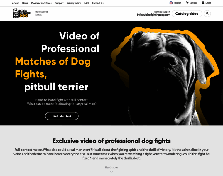 Videofightingdog.com thumbnail