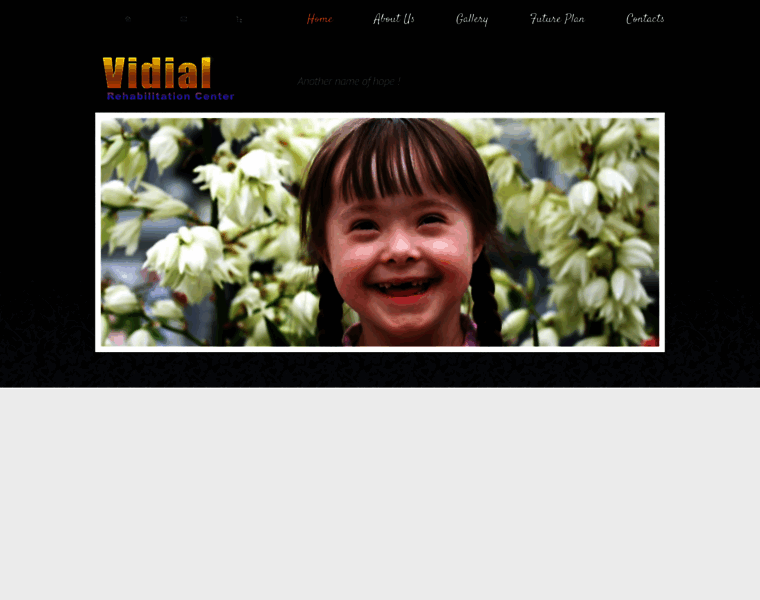 Vidialgroups.org thumbnail