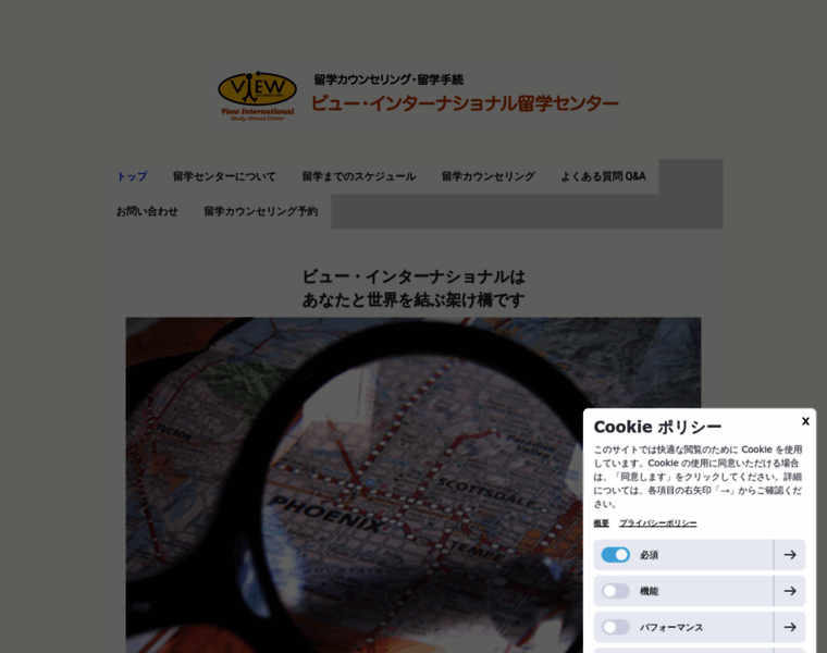 View-int.com thumbnail