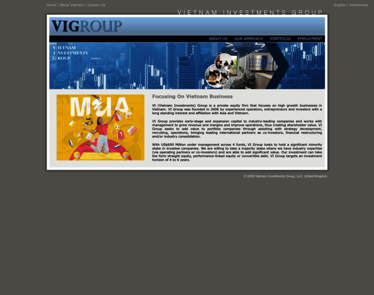 Vigroup.com thumbnail