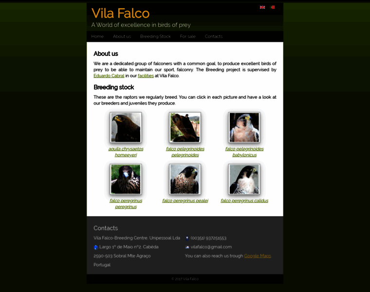 Vilafalco.com thumbnail