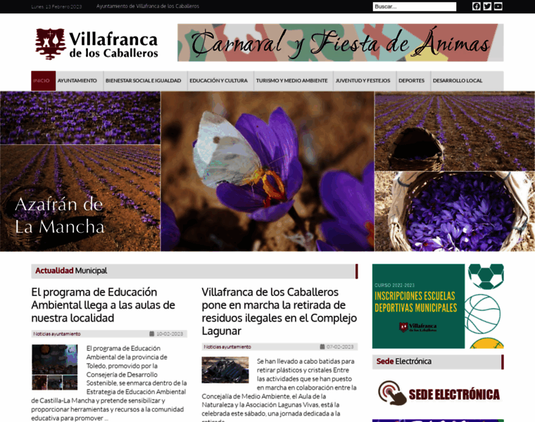 Villafrancadeloscaballeros.es thumbnail