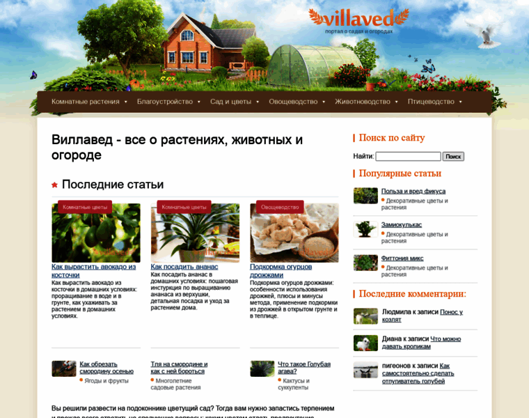 Villaved.ru thumbnail