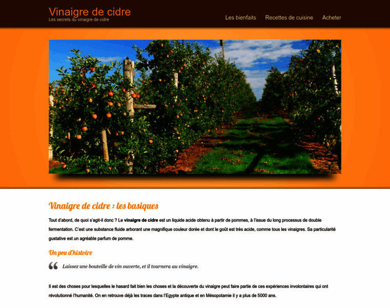 Vinaigre-cidre.info thumbnail