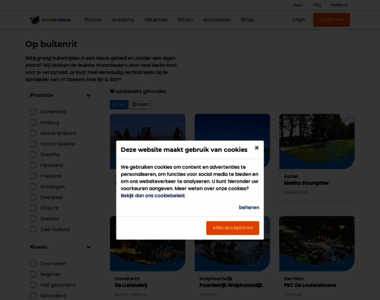 Vindjebuitenrit.nl thumbnail