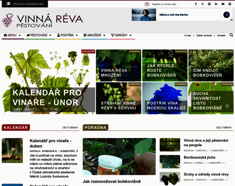 Vinna-reva-pestovani.cz thumbnail