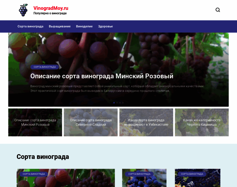 Vinogradmoy.ru thumbnail