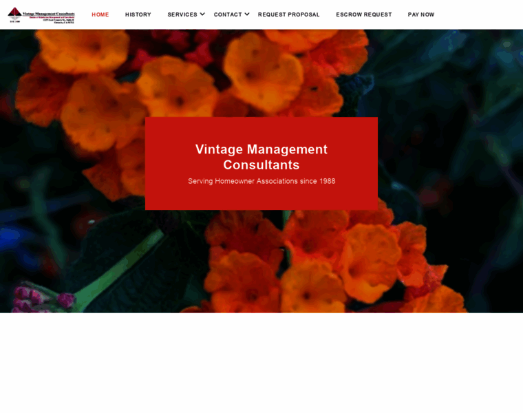 Vintagemanagement.com thumbnail