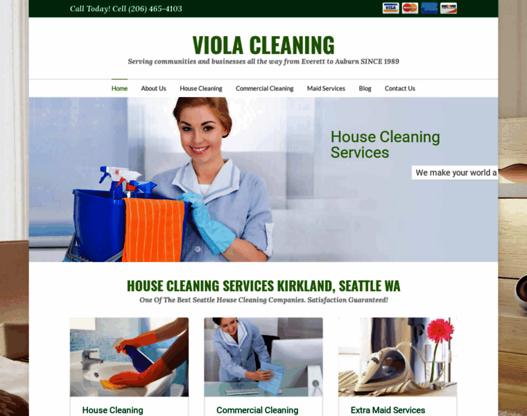 Viola-cleaning.com thumbnail