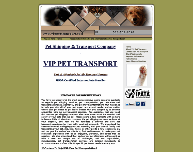 Vippettransport.com thumbnail