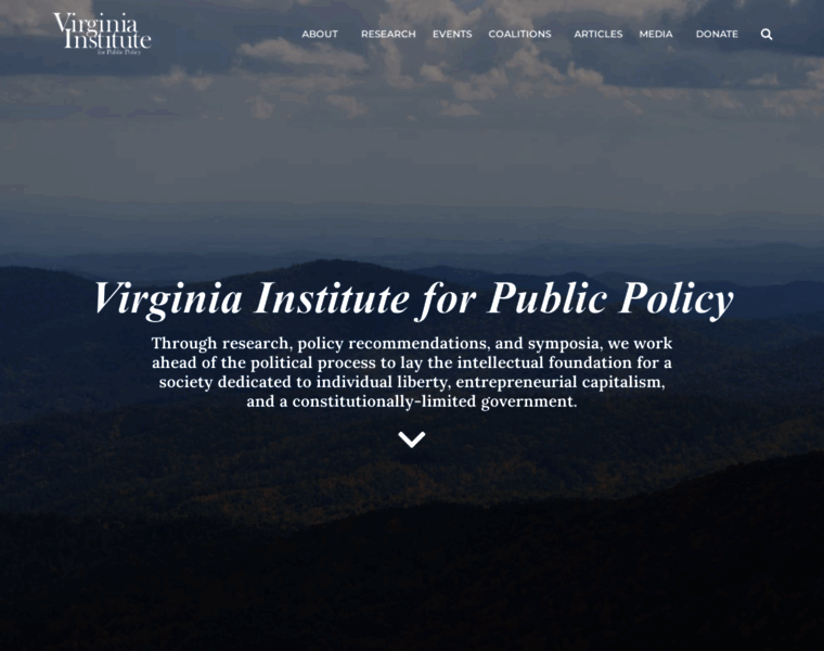 Virginiainstitute.org thumbnail