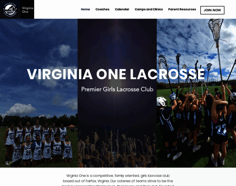 Virginiaonelacrosse.com thumbnail