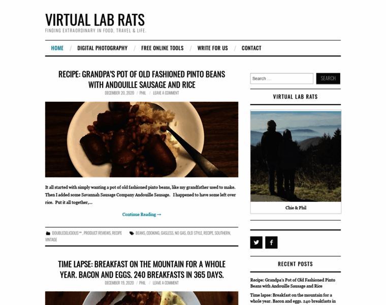 Virtuallabrats.com thumbnail