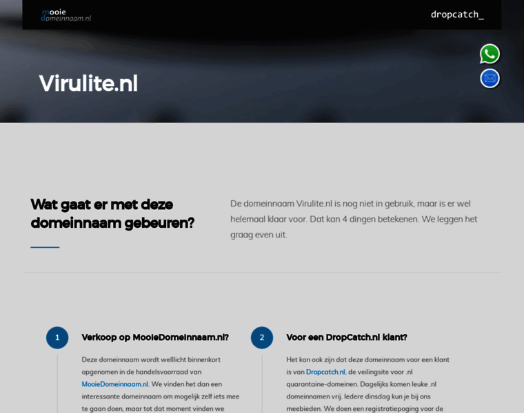 Virulite.nl thumbnail