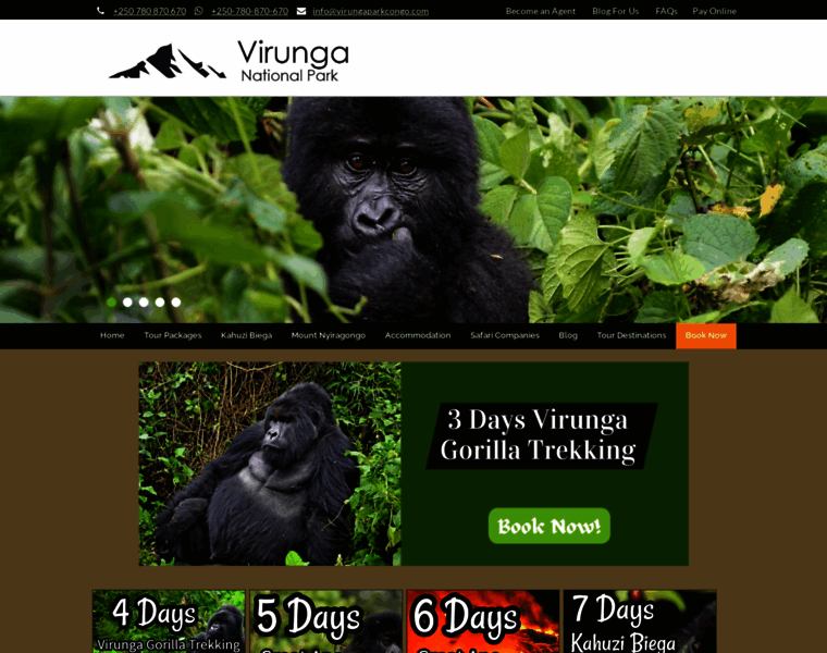 Virungaparkcongo.com thumbnail