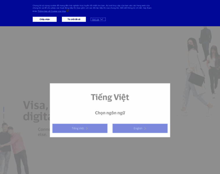 Visa.com.vn thumbnail