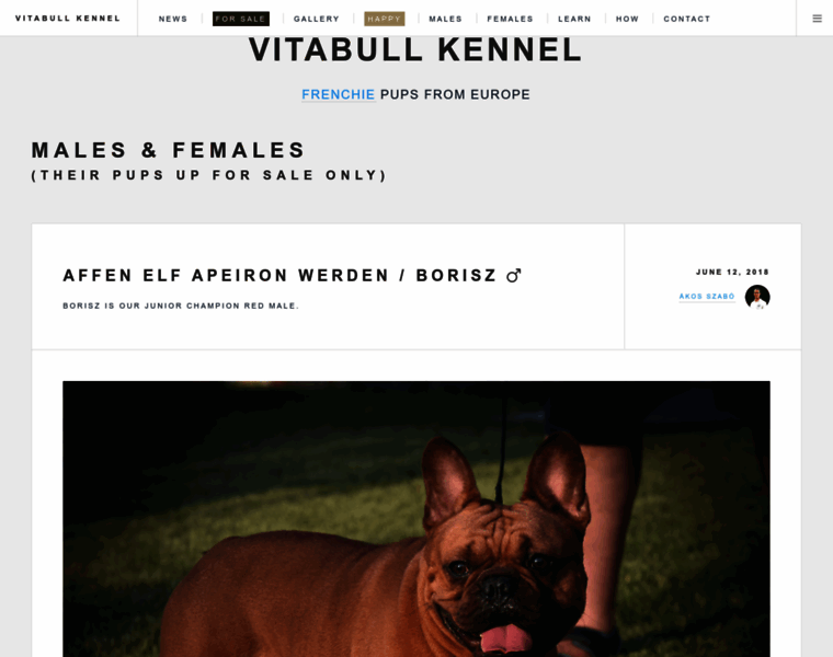 Vitabullkennel.com thumbnail