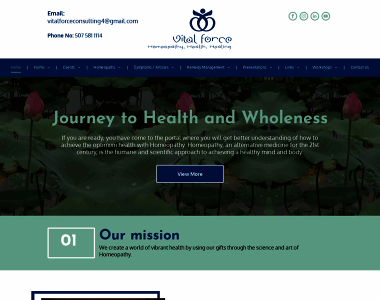 Vitalforceconsulting.com thumbnail