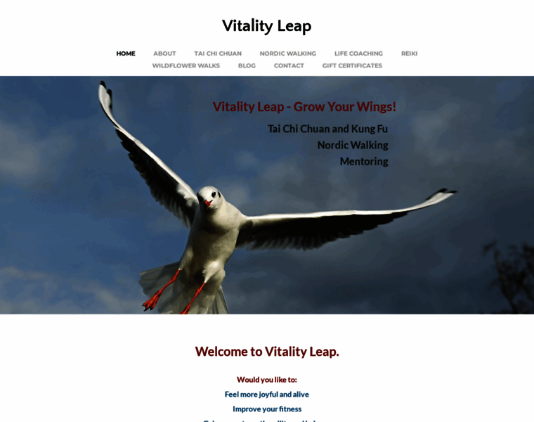 Vitalityleap.com thumbnail