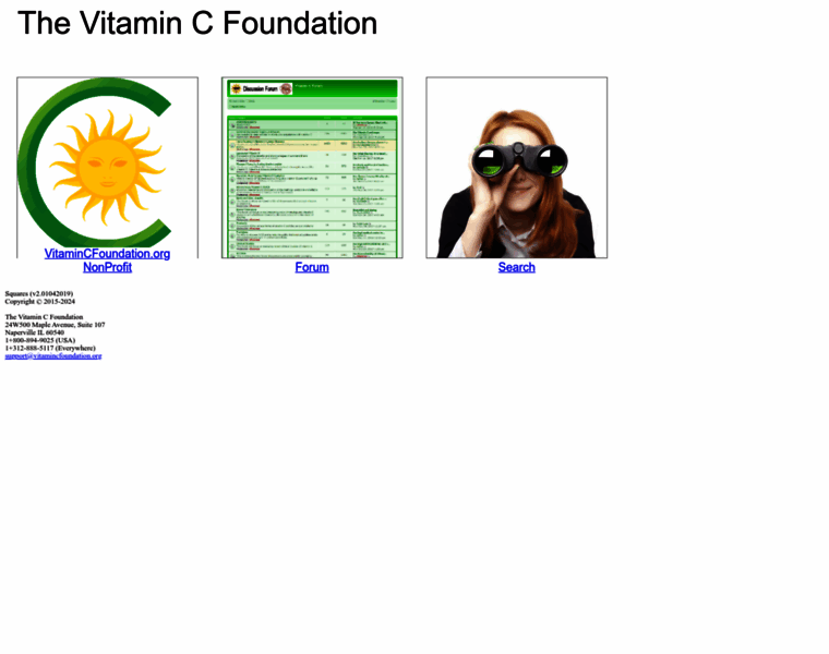 Vitamincfoundation.org thumbnail