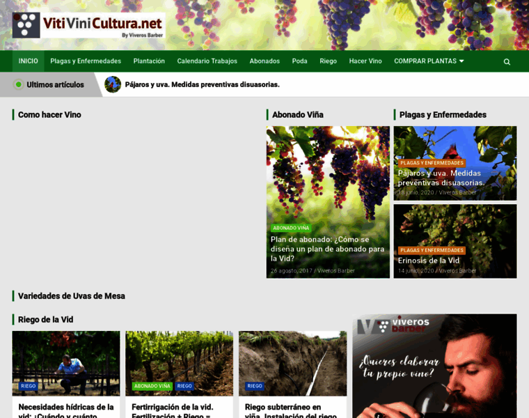 Vitivinicultura.net thumbnail