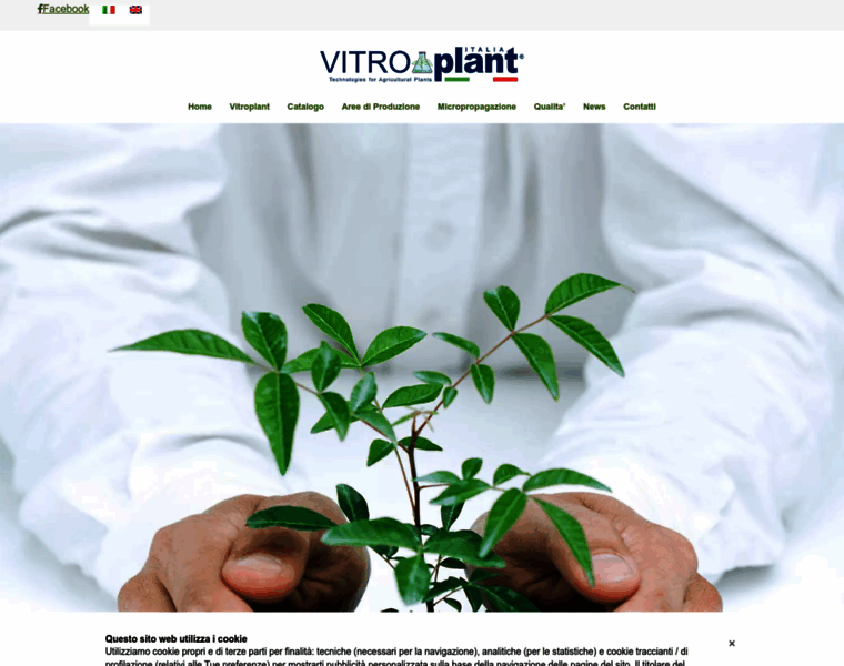 Vitroplant.it thumbnail