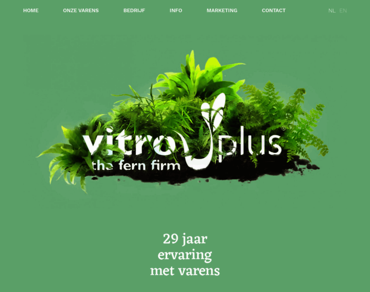 Vitroplus.nl thumbnail