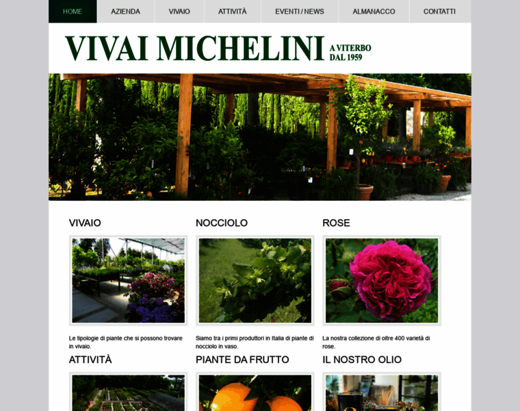 Vivaimichelini.it thumbnail