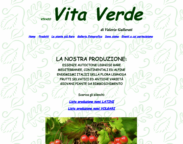 Vivaiovitaverde.it thumbnail